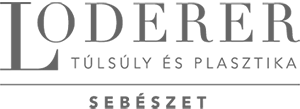 Lóderer Plasztika - Marketing21 Partner